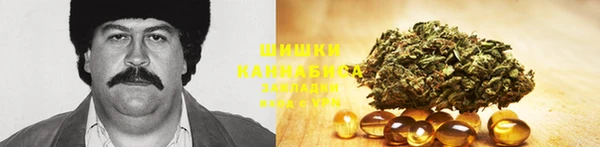 гашик Тавда