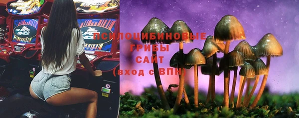 сатива Армянск