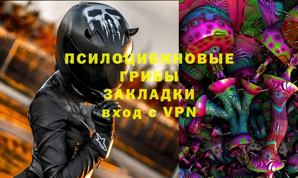 сатива Армянск