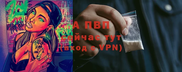 сатива Армянск